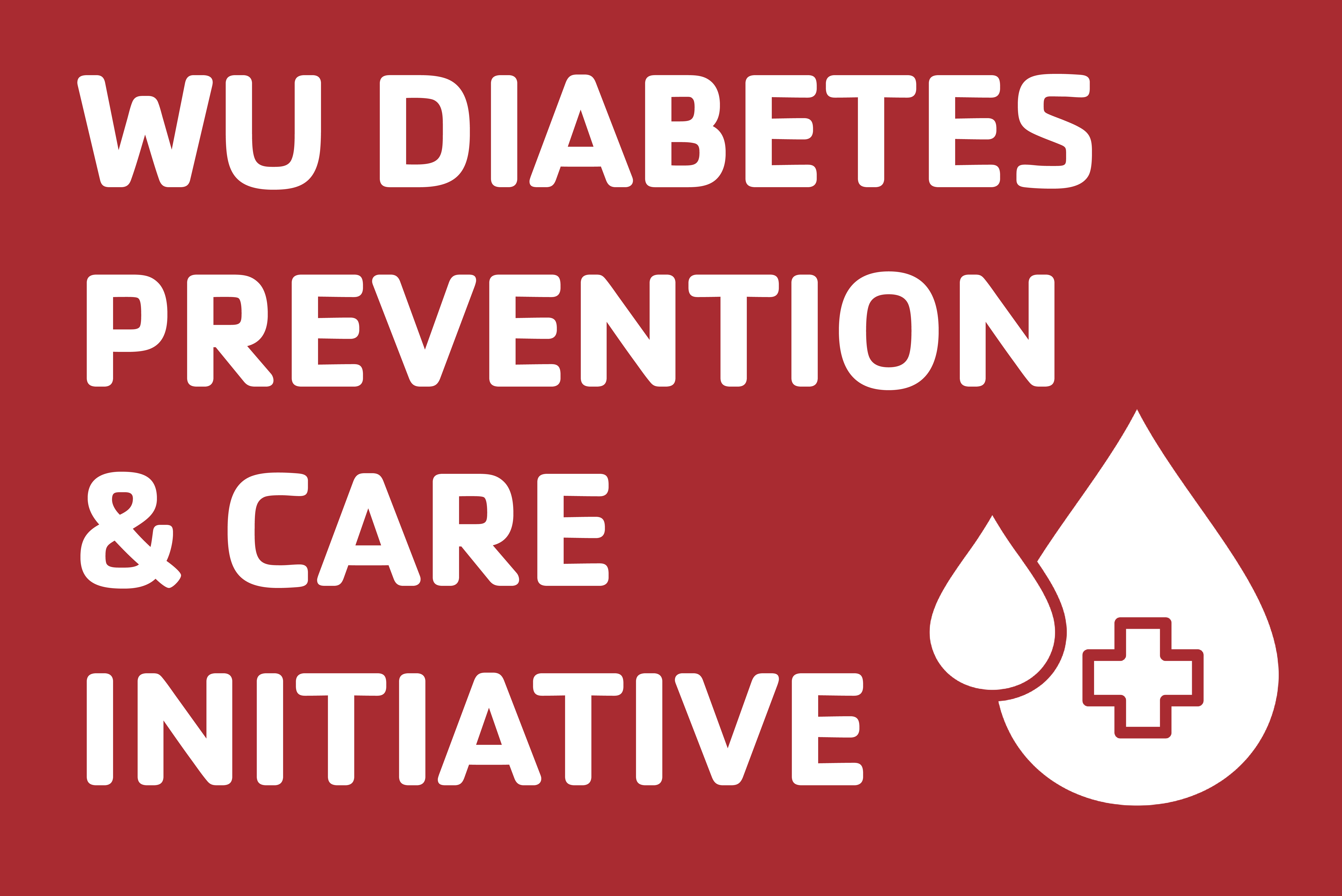 wu diabetes and care initiative