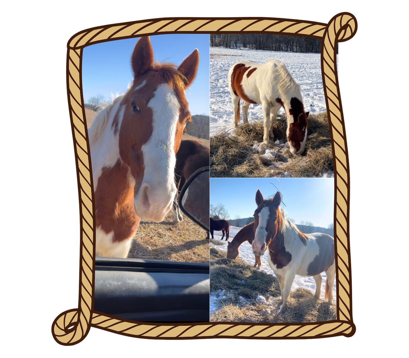Leroy horse icon