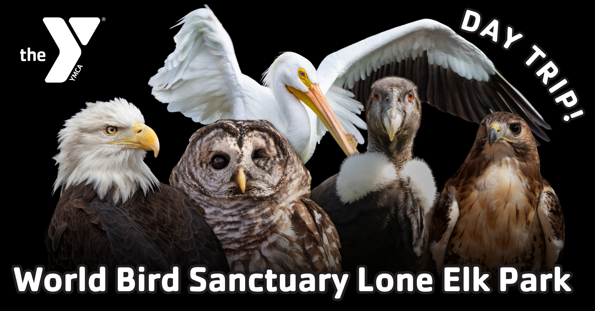 chesterfield ymca world bird sanctuary lone elk park field trip