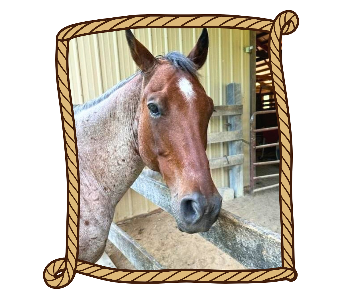 Lee horse icon