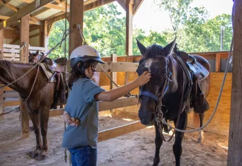 triangle y ranch trout lodge horse overnight