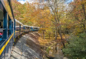 blue ridge scenic railway