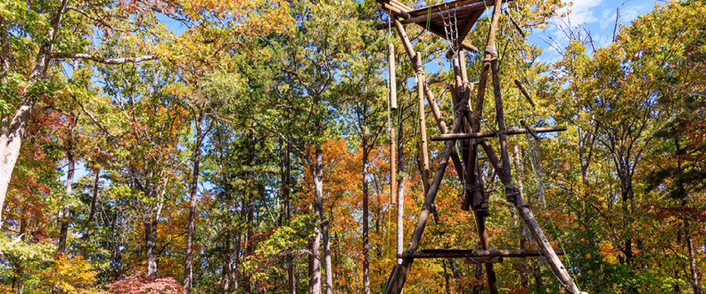 the alpine tower standing above the trees
