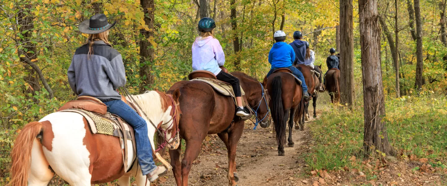 Scenic trail ride through the Ozark hills at Triangle Y Ranch