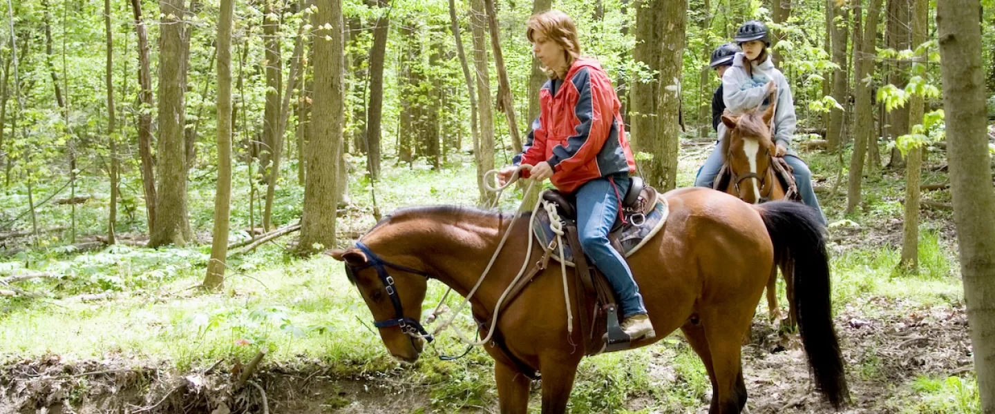 Horse and rider crossing a shallow creek on the Mountain Trail Ride