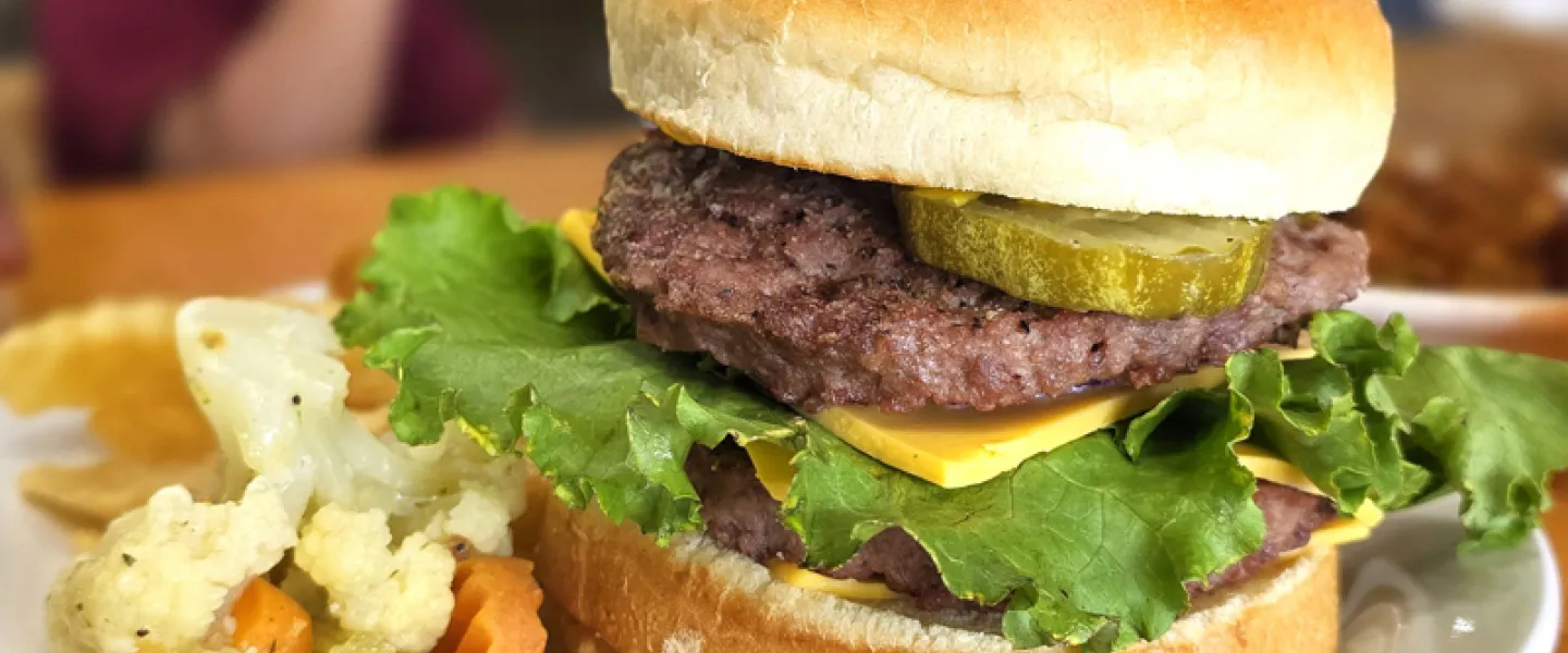 A closeup shot of a cheeseburger and french fries being served as a dinner option at YMCA Trout Lodge