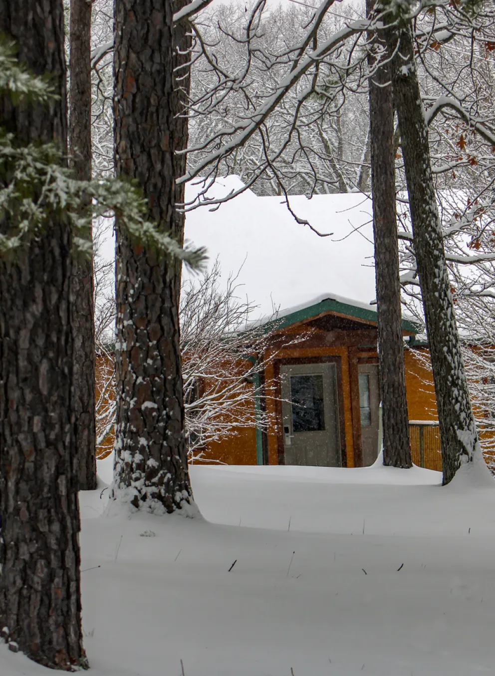 View of a cozy Forest View Cabin nestled in the snow-covered trees of the Ozark Hills forest on Trout Lodge's campus.