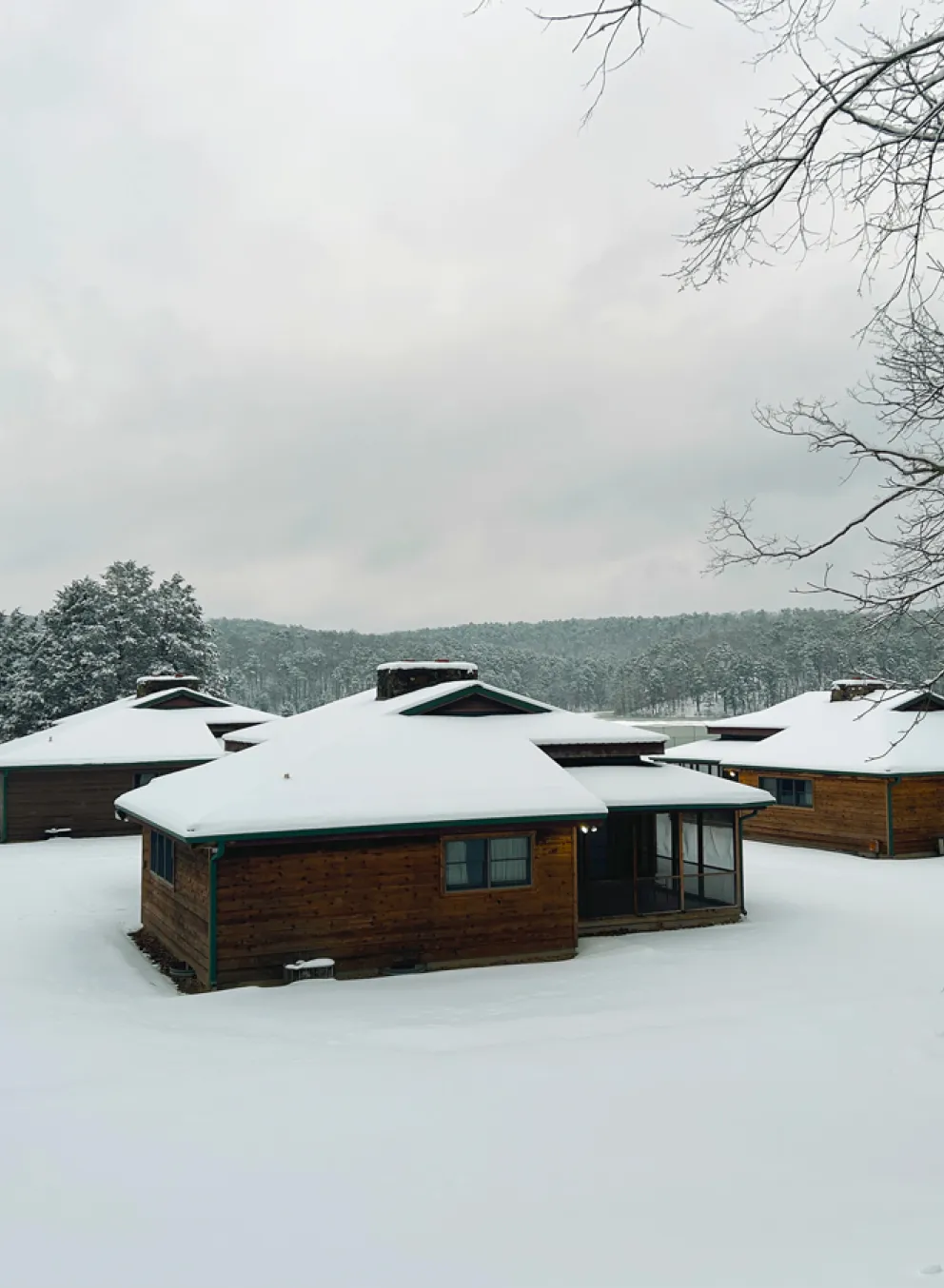 YMCA Trout Lodge Lake View Family Cabins covered in white winter snow next to the Ozark Hills evergreen trees covered in snow and a frozen Sunnen Lake