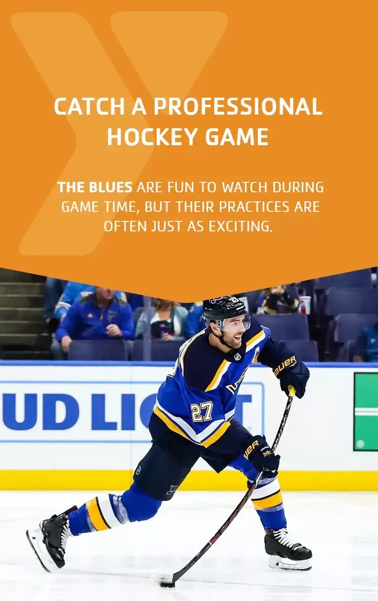 catch a professional hockey game st louis