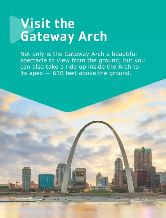 gateway arch st. louis in the fall