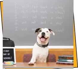 campus y throwback prom court archie