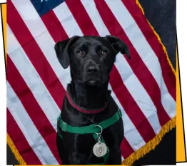 campus y throwback prom court brookie