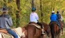 Thumbnail: A trail ride in the forest