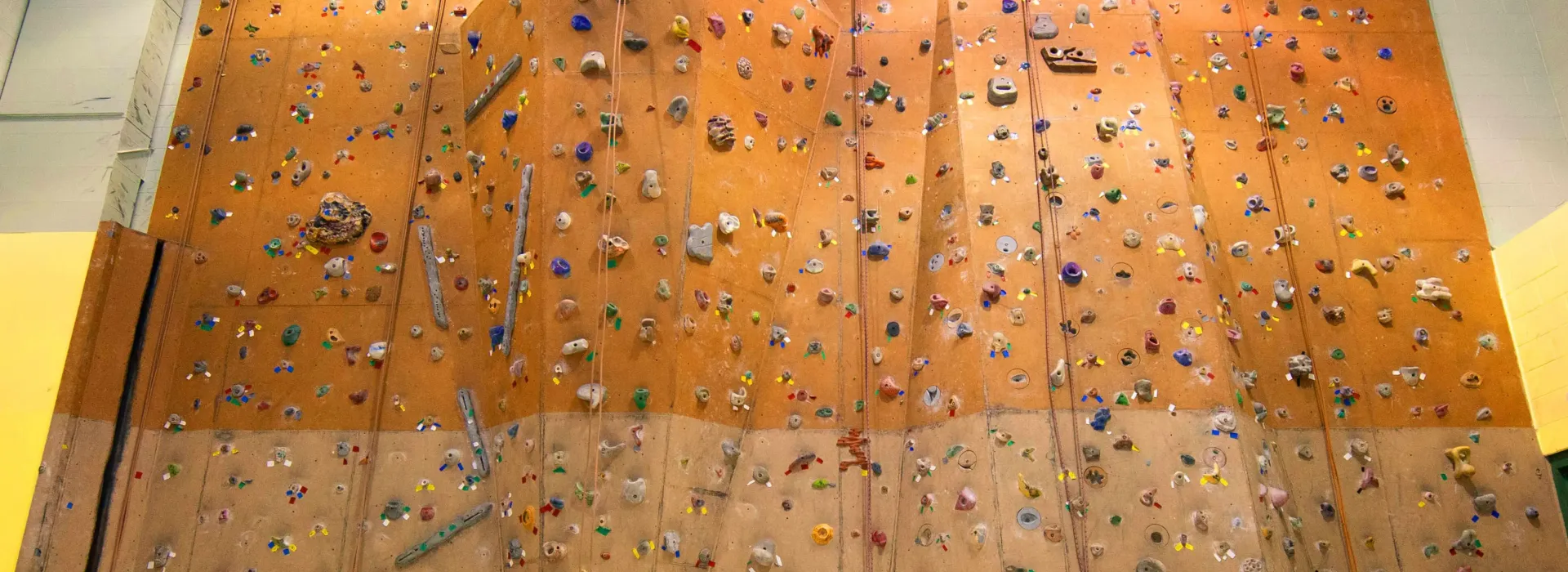 DBC Rock Wall