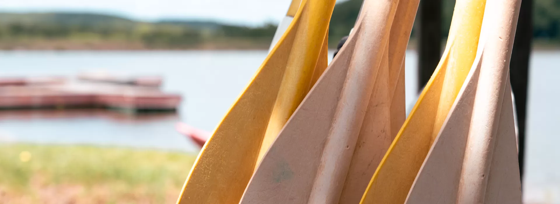 Canoe paddles lined up with lake in the background