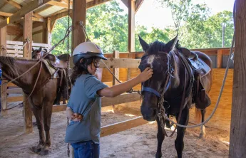triangle y ranch trout lodge horse overnight