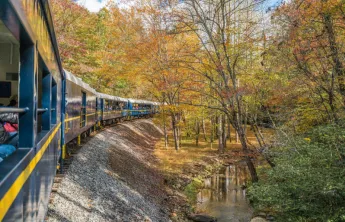 blue ridge scenic railway