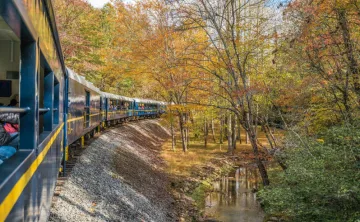 blue ridge scenic railway