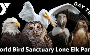 chesterfield ymca world bird sanctuary lone elk park field trip